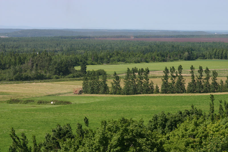 Paysage agricole (Photo : © SADC)